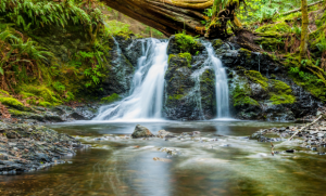 Sacred Flow